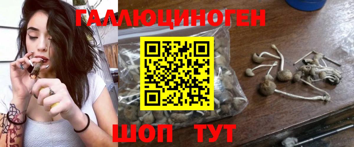 Галлюциногенные грибы мухоморы Калуга